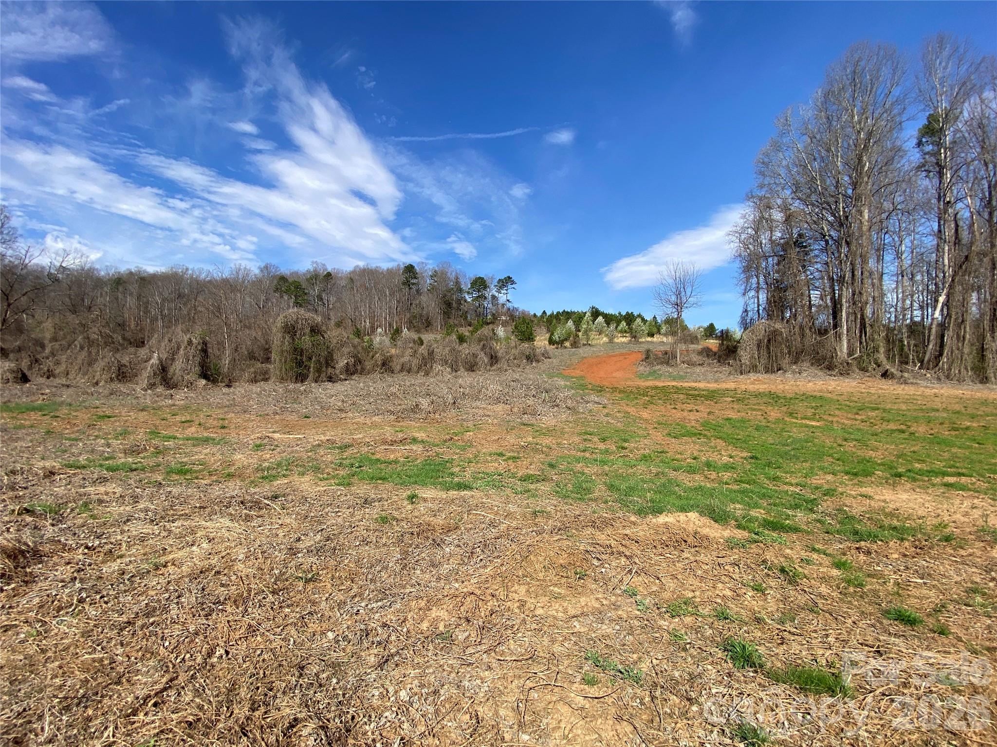 Acreage at 0 Coxe Road, Rutherfordton, photo 16 of 20