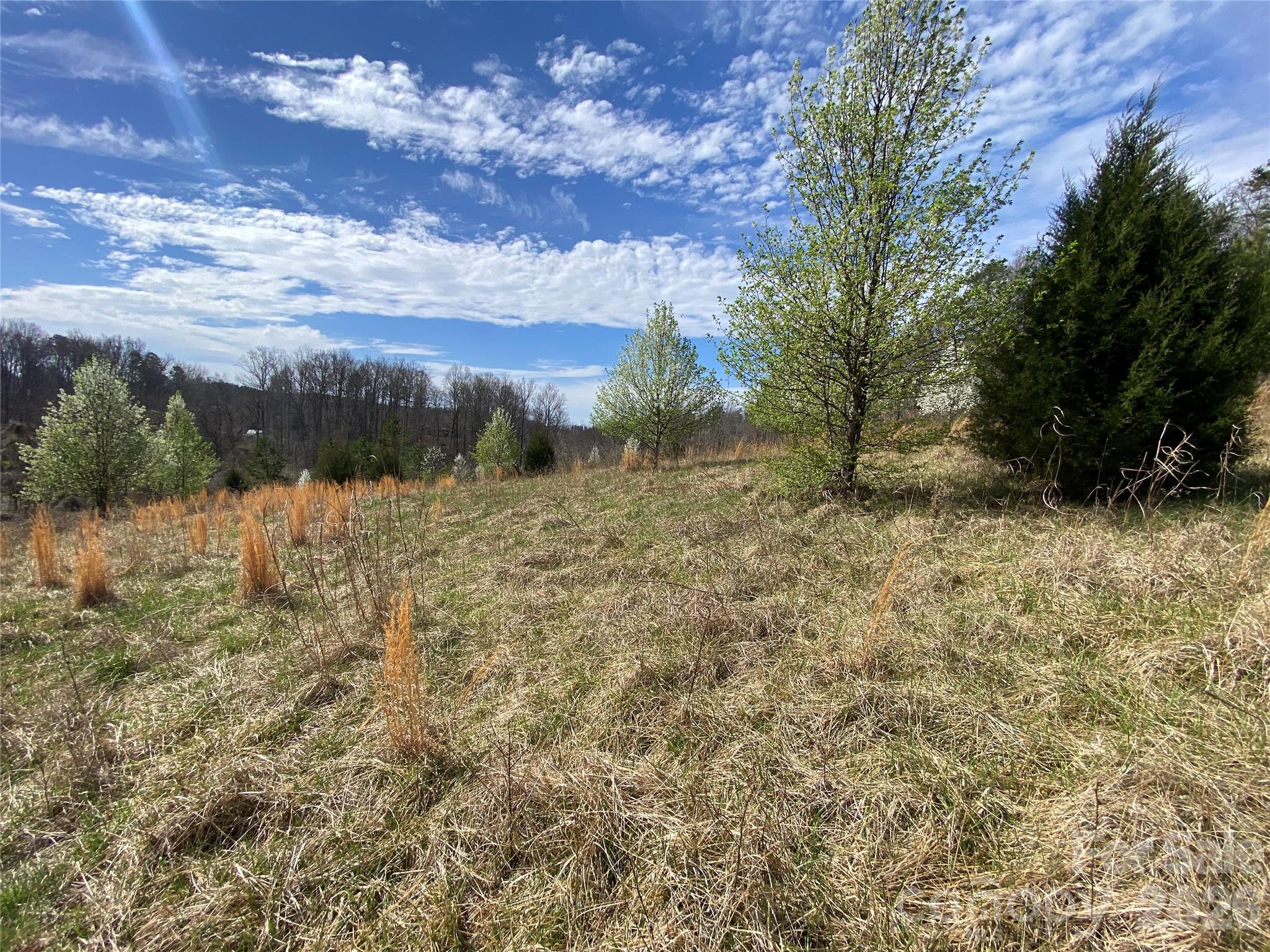Acreage at 0 Coxe Road, Rutherfordton, photo 19 of 20