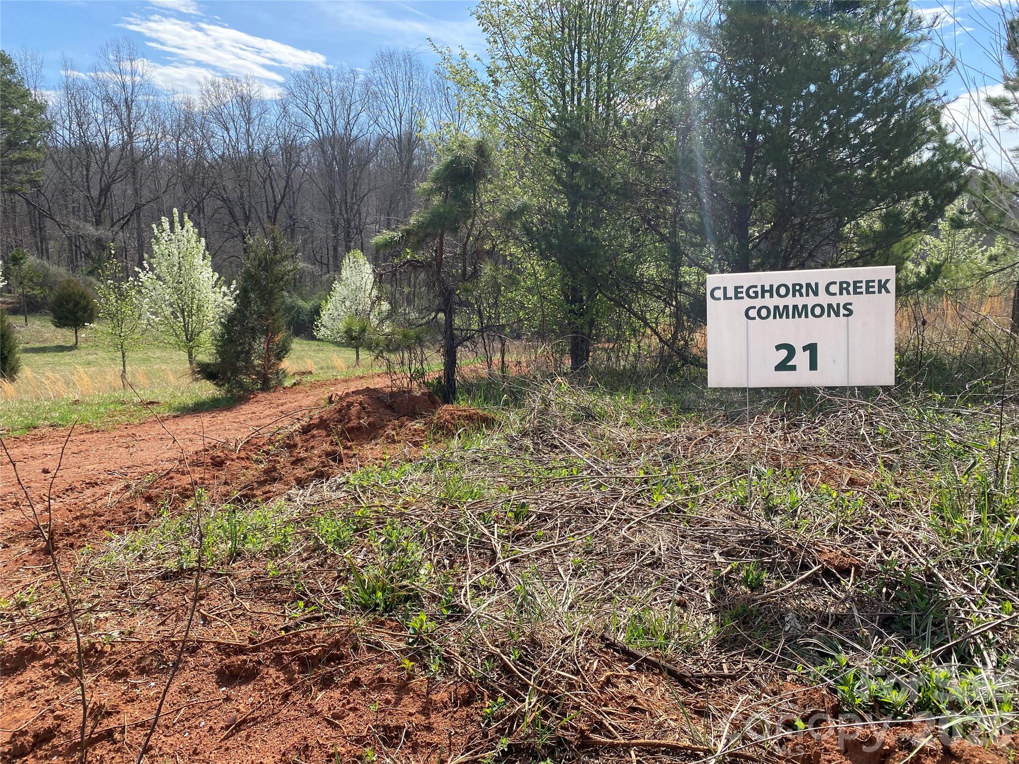 Acreage at 0 Coxe Road, Rutherfordton, photo 20 of 20