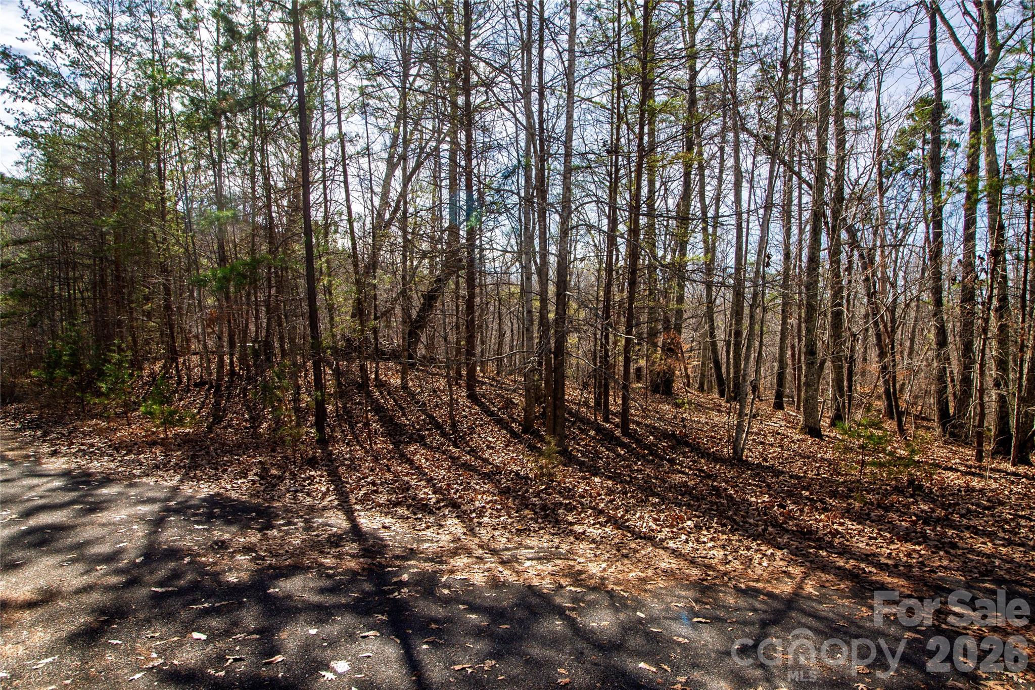 Lot at 107 W Highland Terrace, Kings Mountain, photo 6 of 10