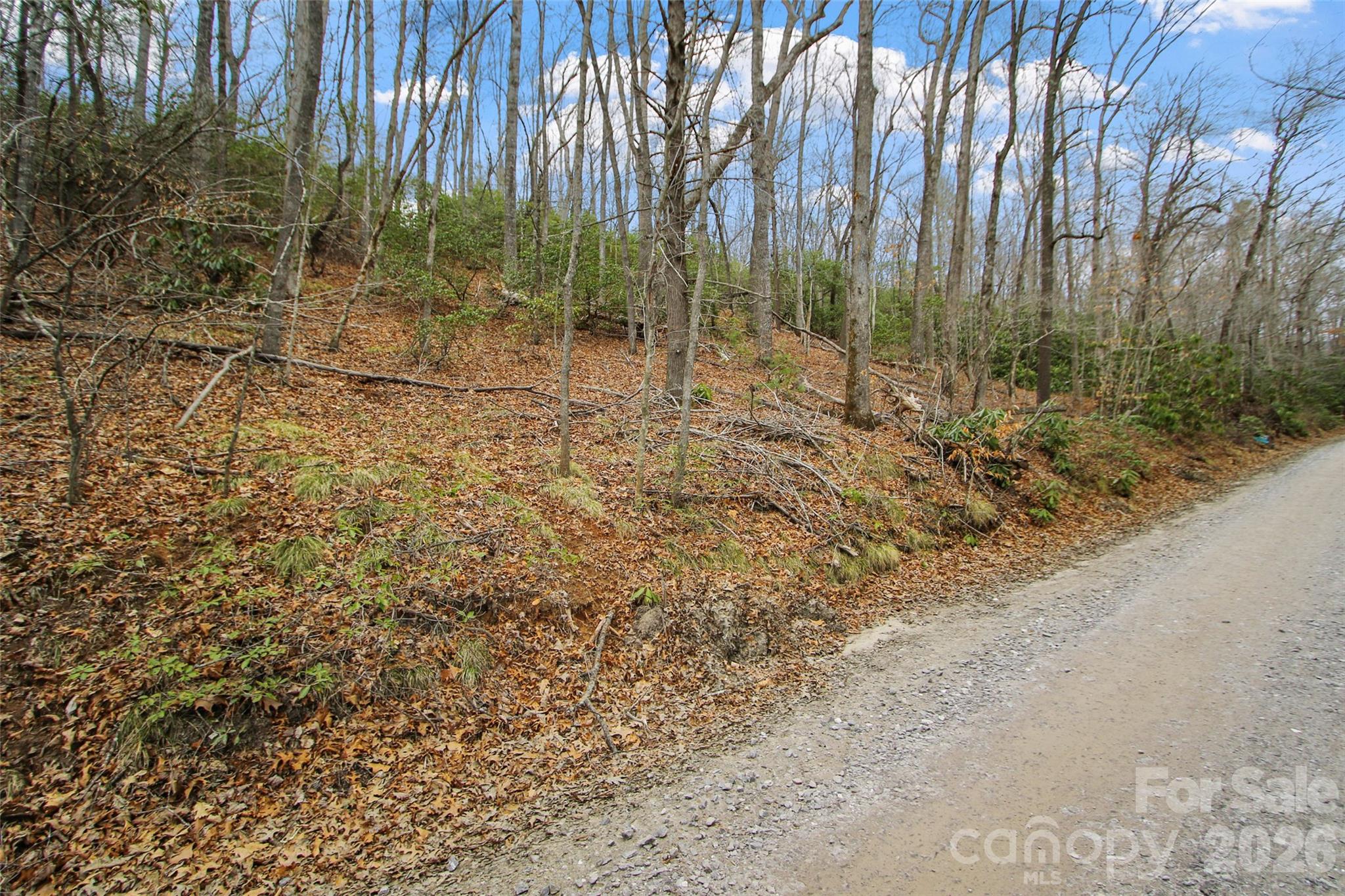 Lot at Lot 12 Patton Thicket Road, Burnsville, photo 3 of 12