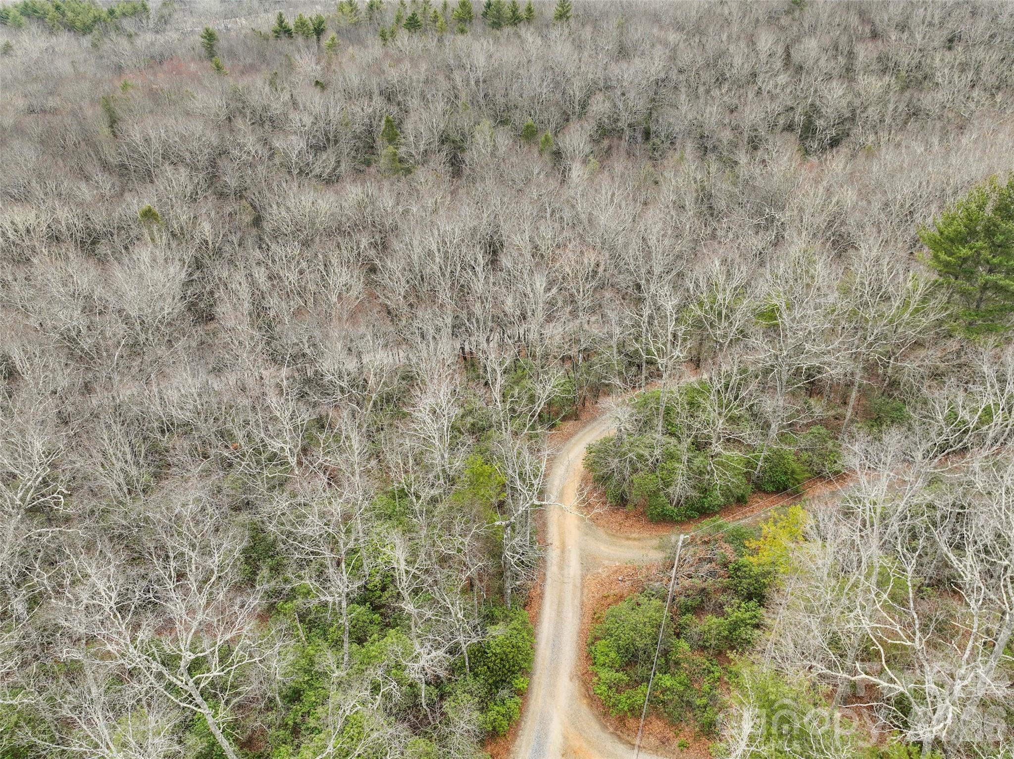 Lot at Lot 12 Patton Thicket Road, Burnsville, photo 5 of 12