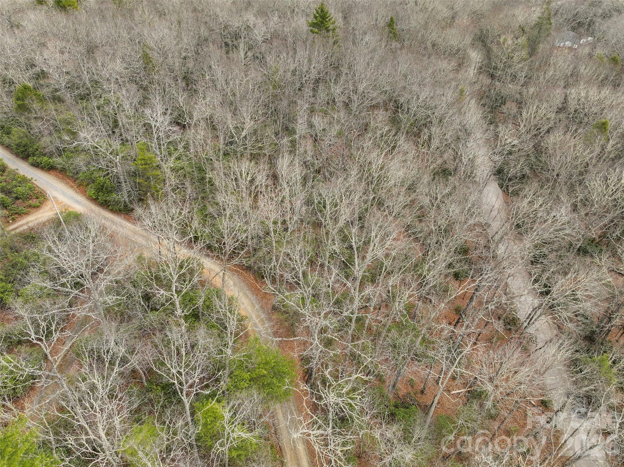 Lot at Lot 12 Patton Thicket Road, Burnsville, photo 7 of 12