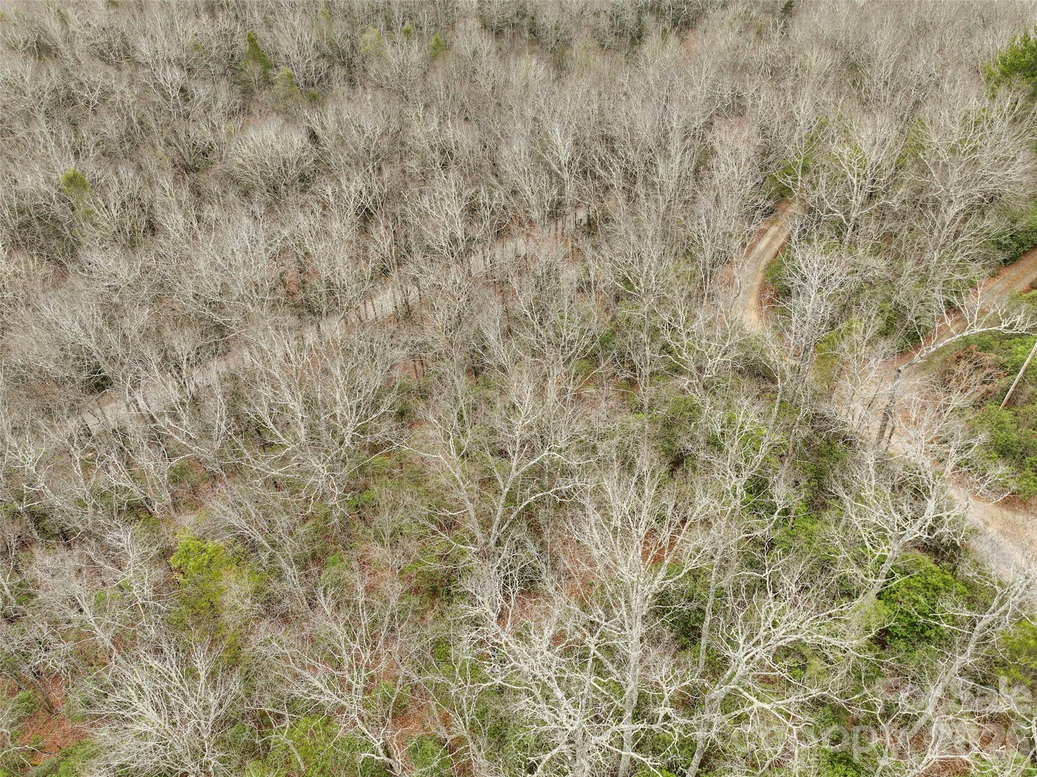Lot at Lot 12 Patton Thicket Road, Burnsville, photo 9 of 12
