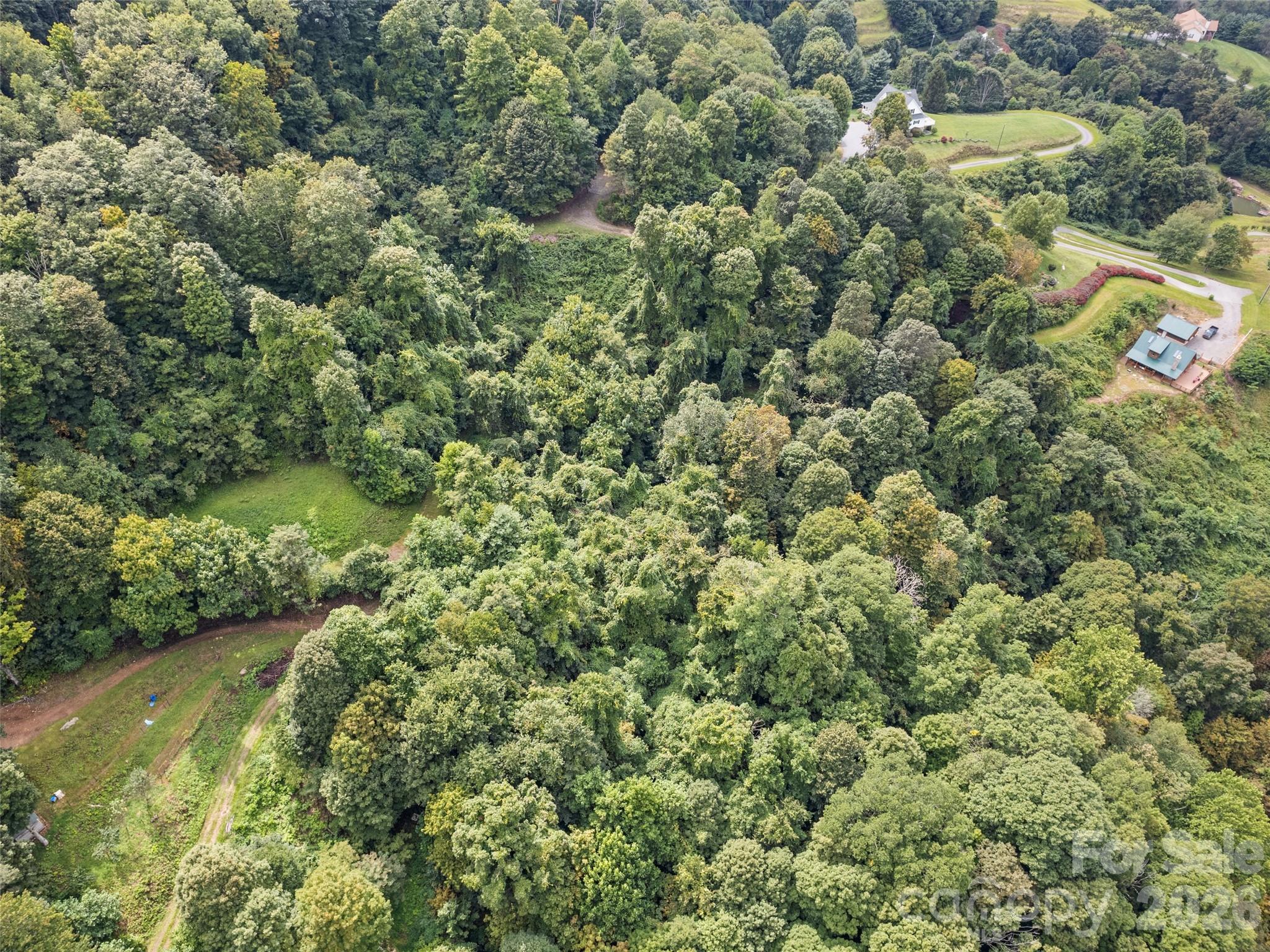 Lot at 403 Malin Trail, Waynesville, photo 2 of 14