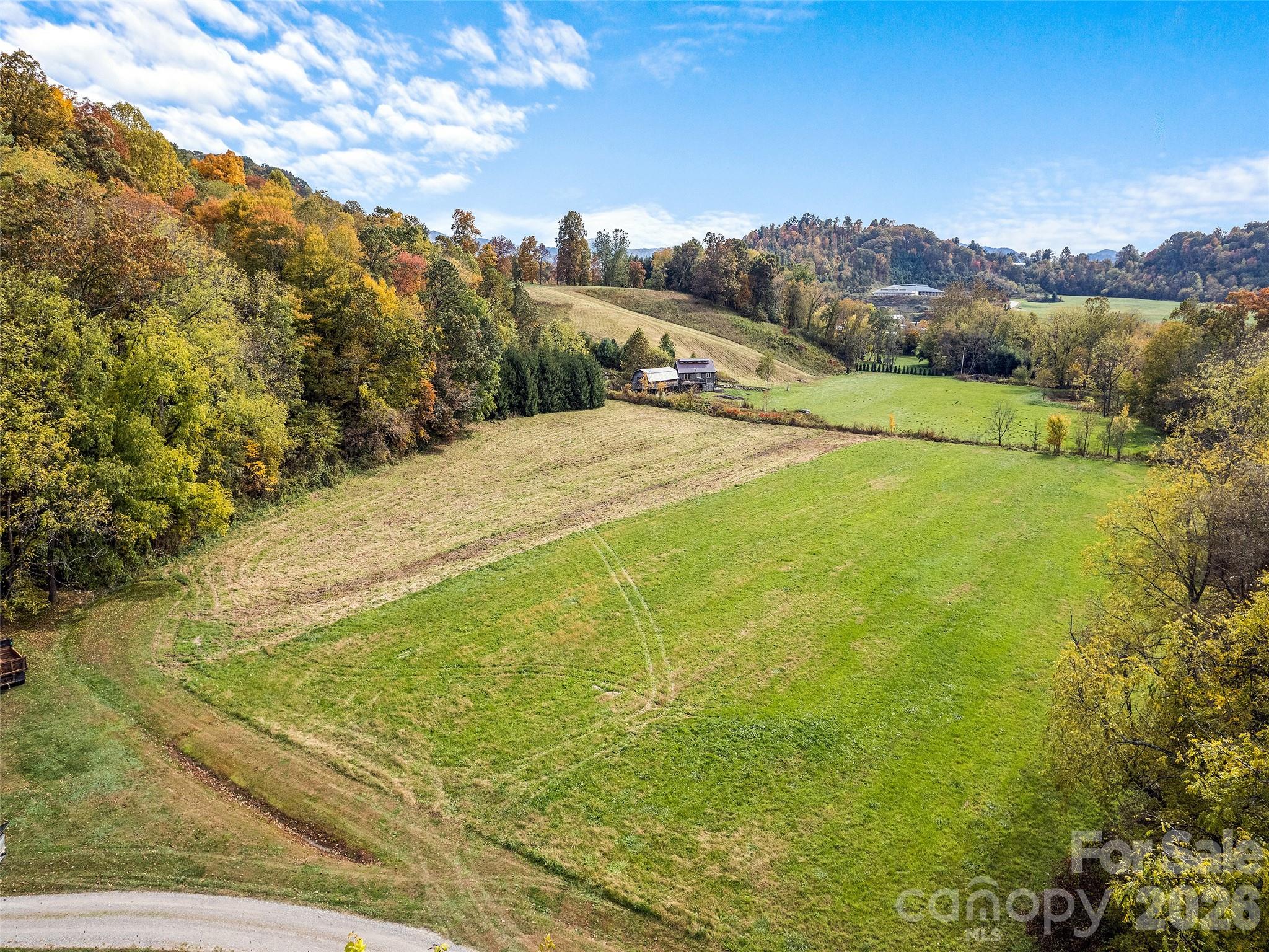 Acreage at 00 Beaverdam Road, Canton, photo 4 of 17