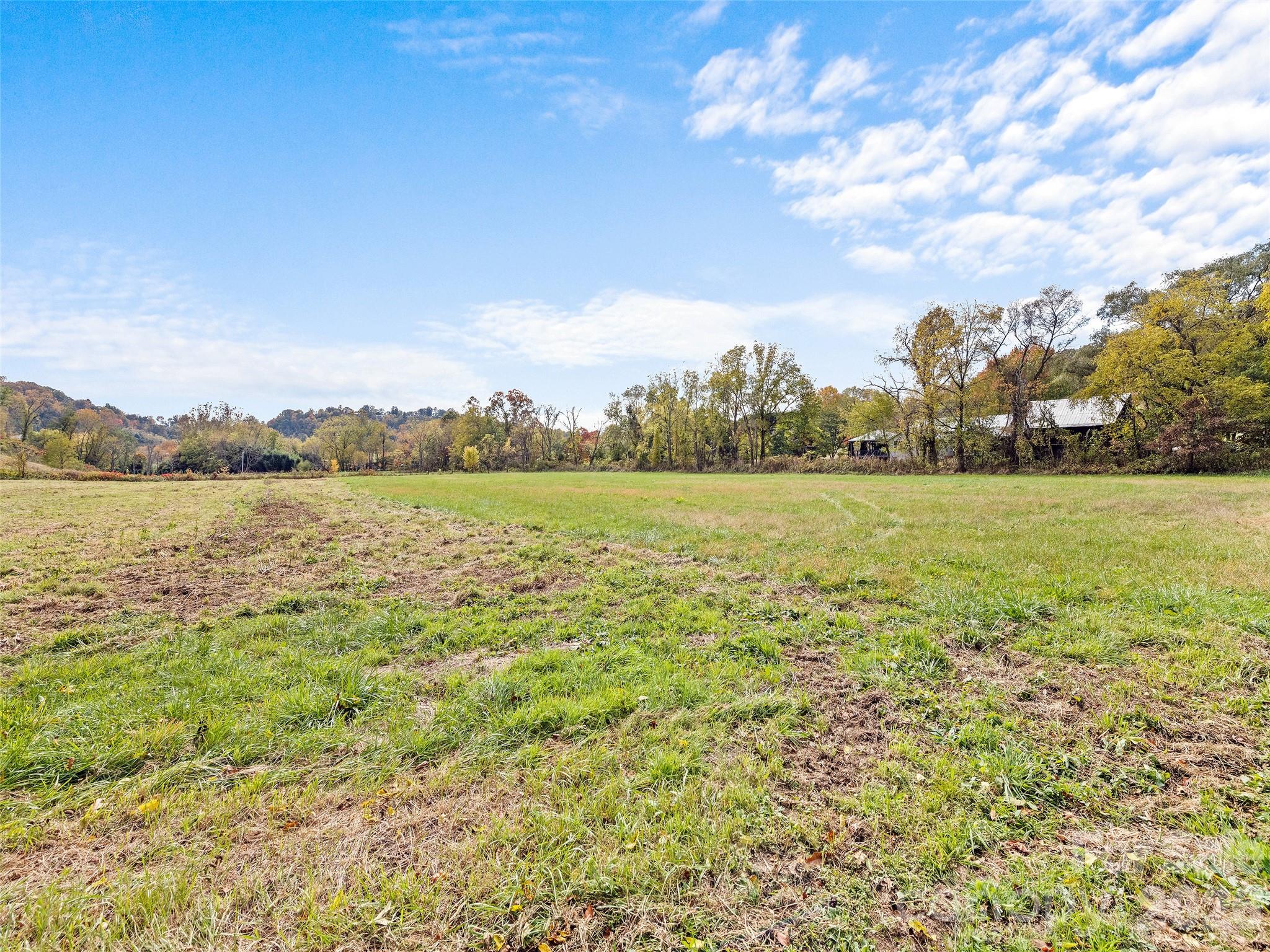 Acreage at 00 Beaverdam Road, Canton, photo 6 of 17