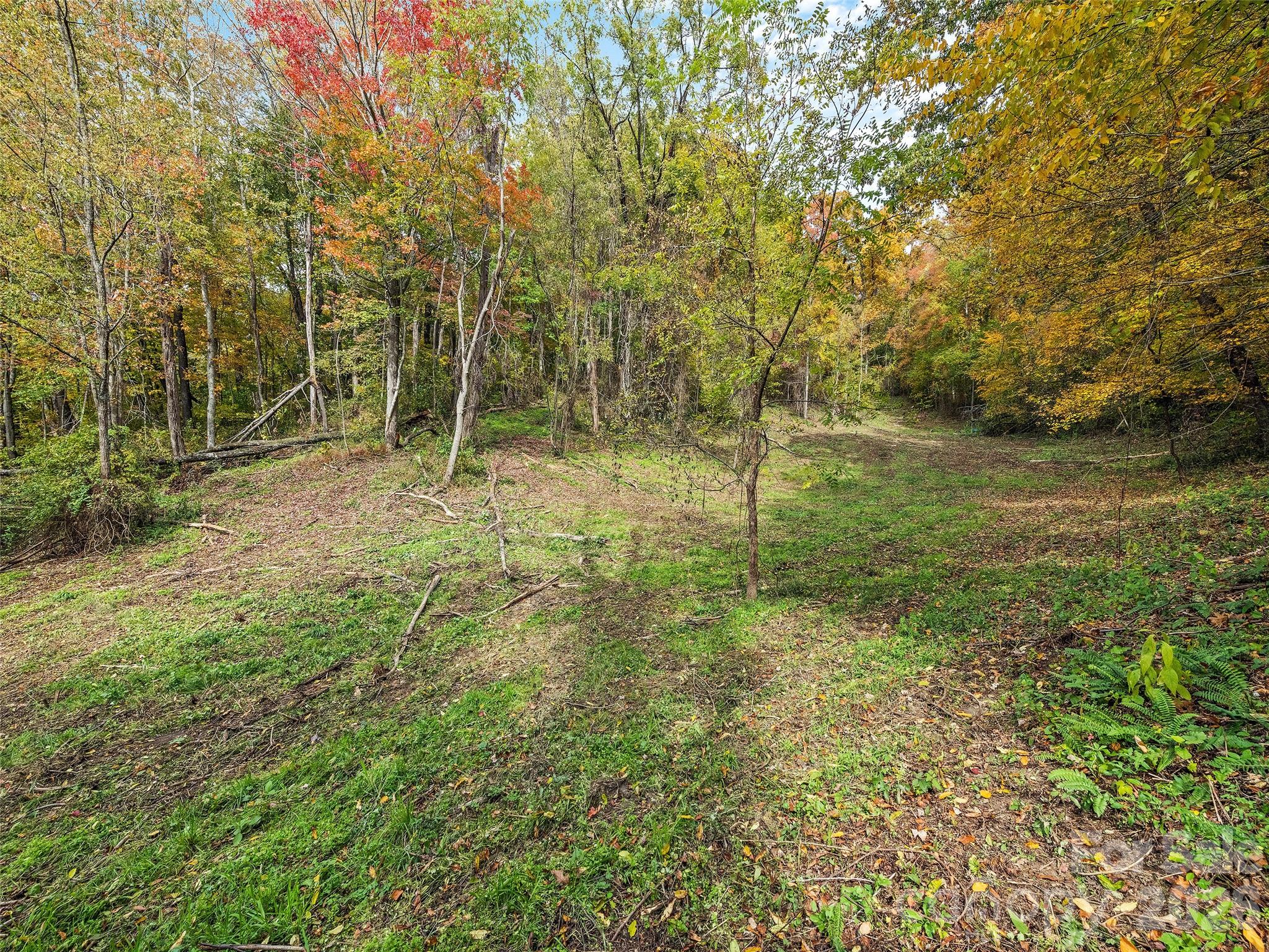 Acreage at 00 Beaverdam Road, Canton, photo 8 of 17