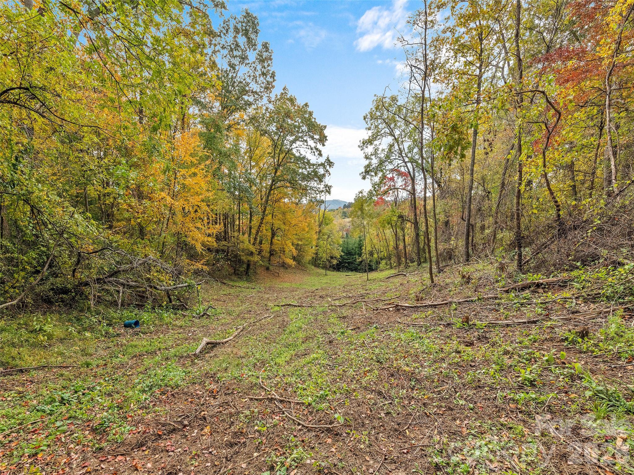 Acreage at 00 Beaverdam Road, Canton, photo 9 of 17