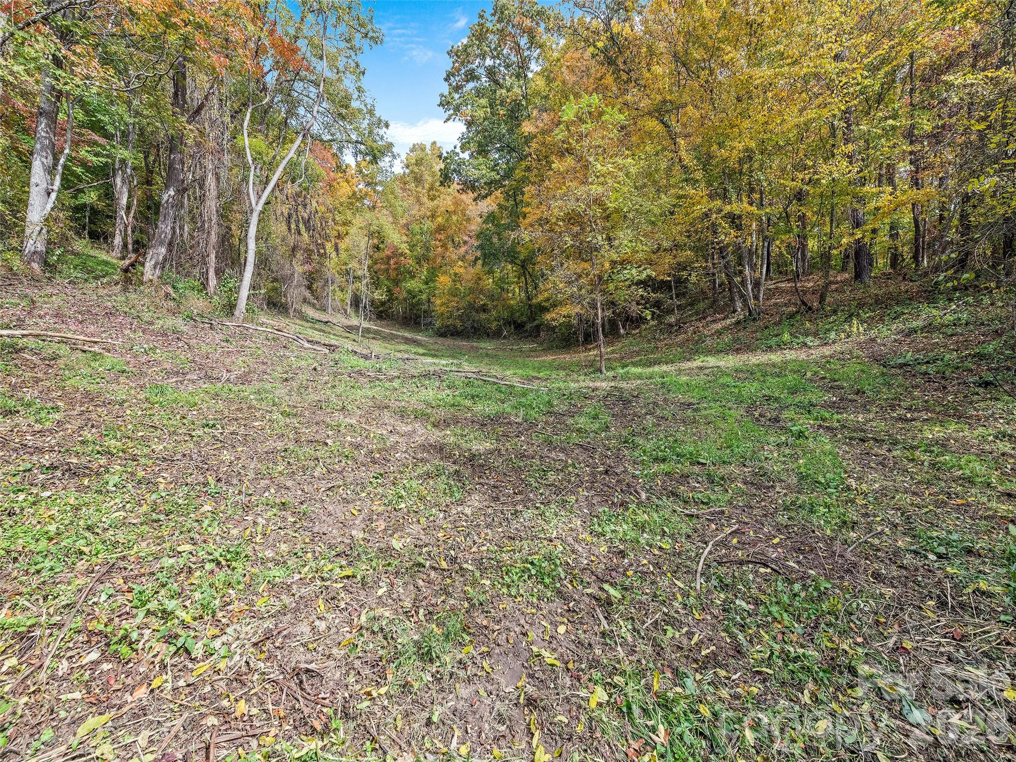 Acreage at 00 Beaverdam Road, Canton, photo 17 of 17