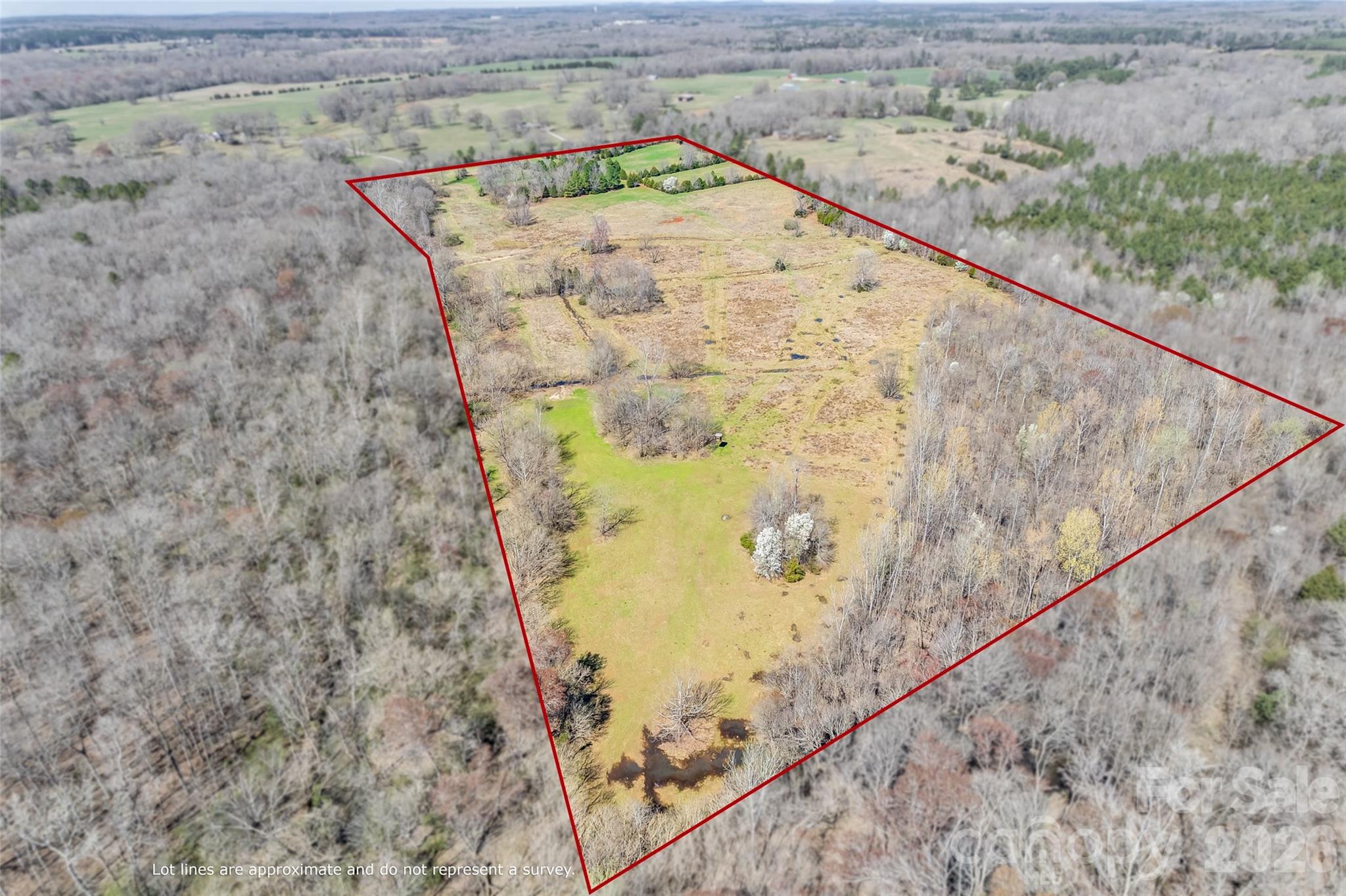 Estimated boundary lines provided by professional photographer. - 2548 Gordon Road, Rock Hill