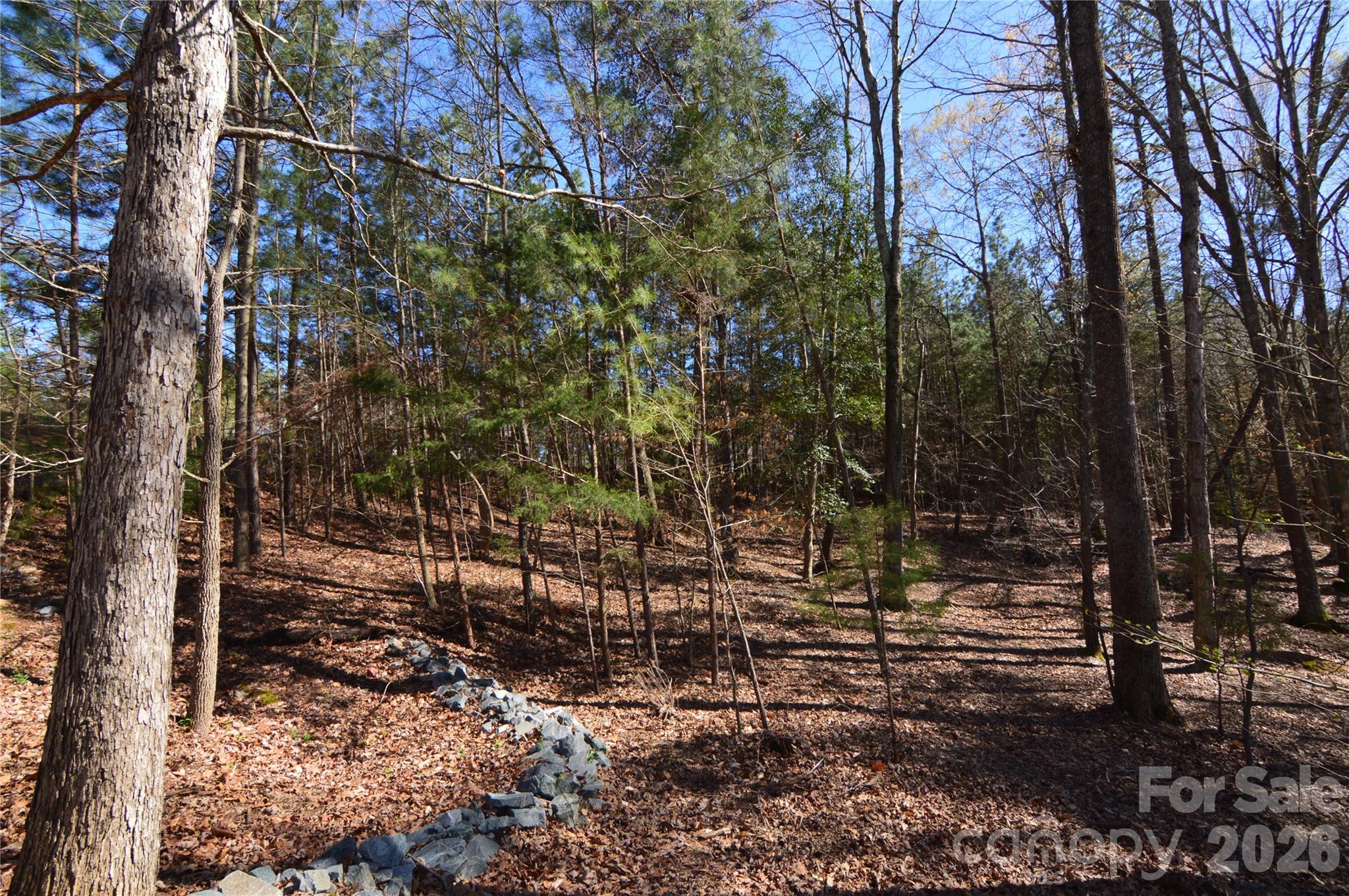 Interior lot view. - 5120 Watermead Lane, Belmont