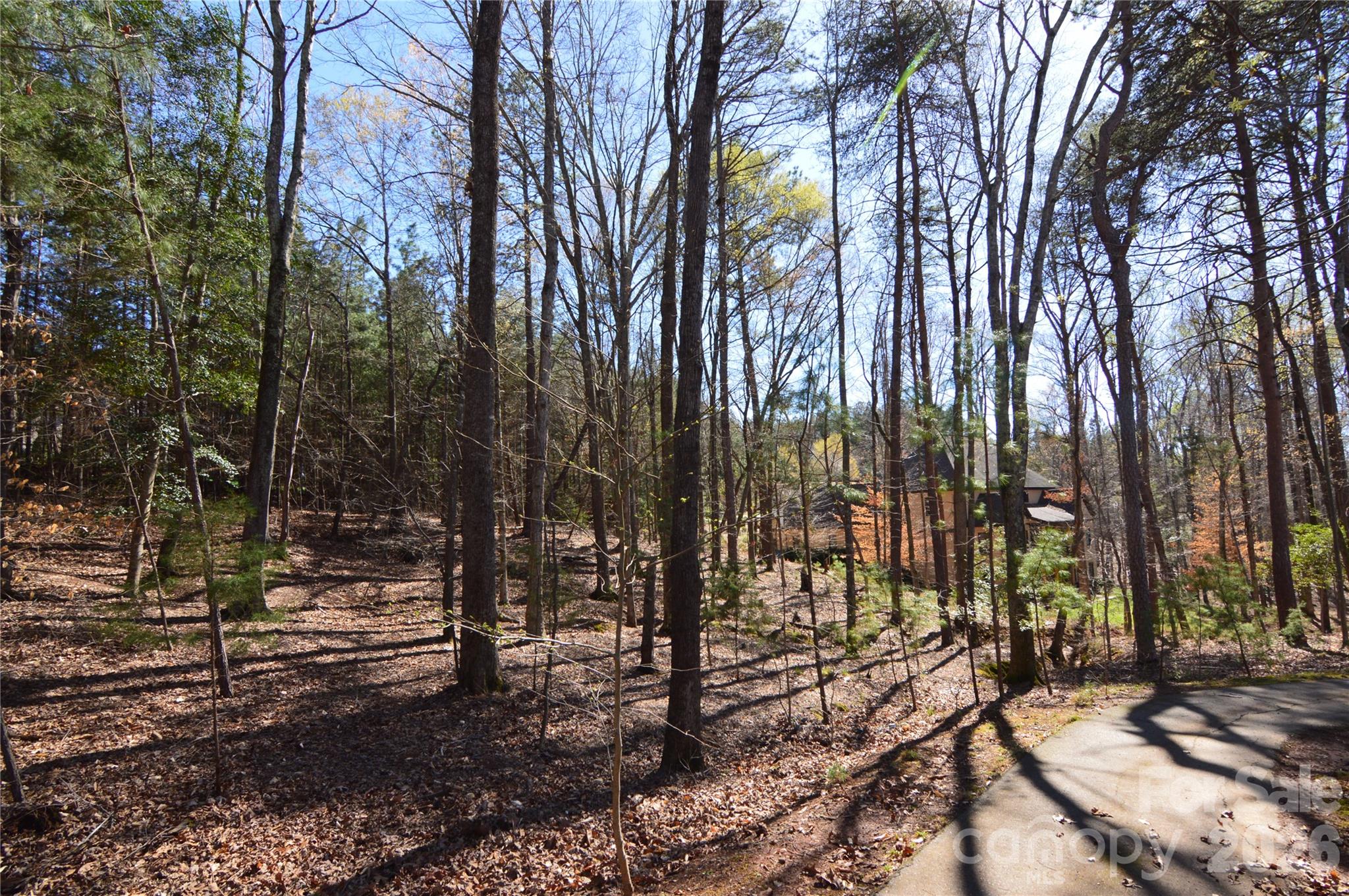 Lot at 5120 Watermead Lane, Belmont, photo 9 of 48
