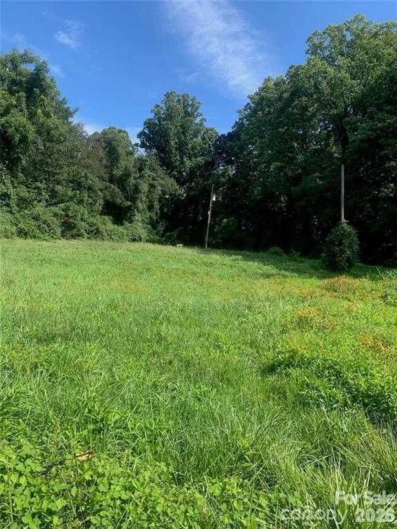 Acreage at 150 Glendale Avenue, Asheville, photo 2 of 5