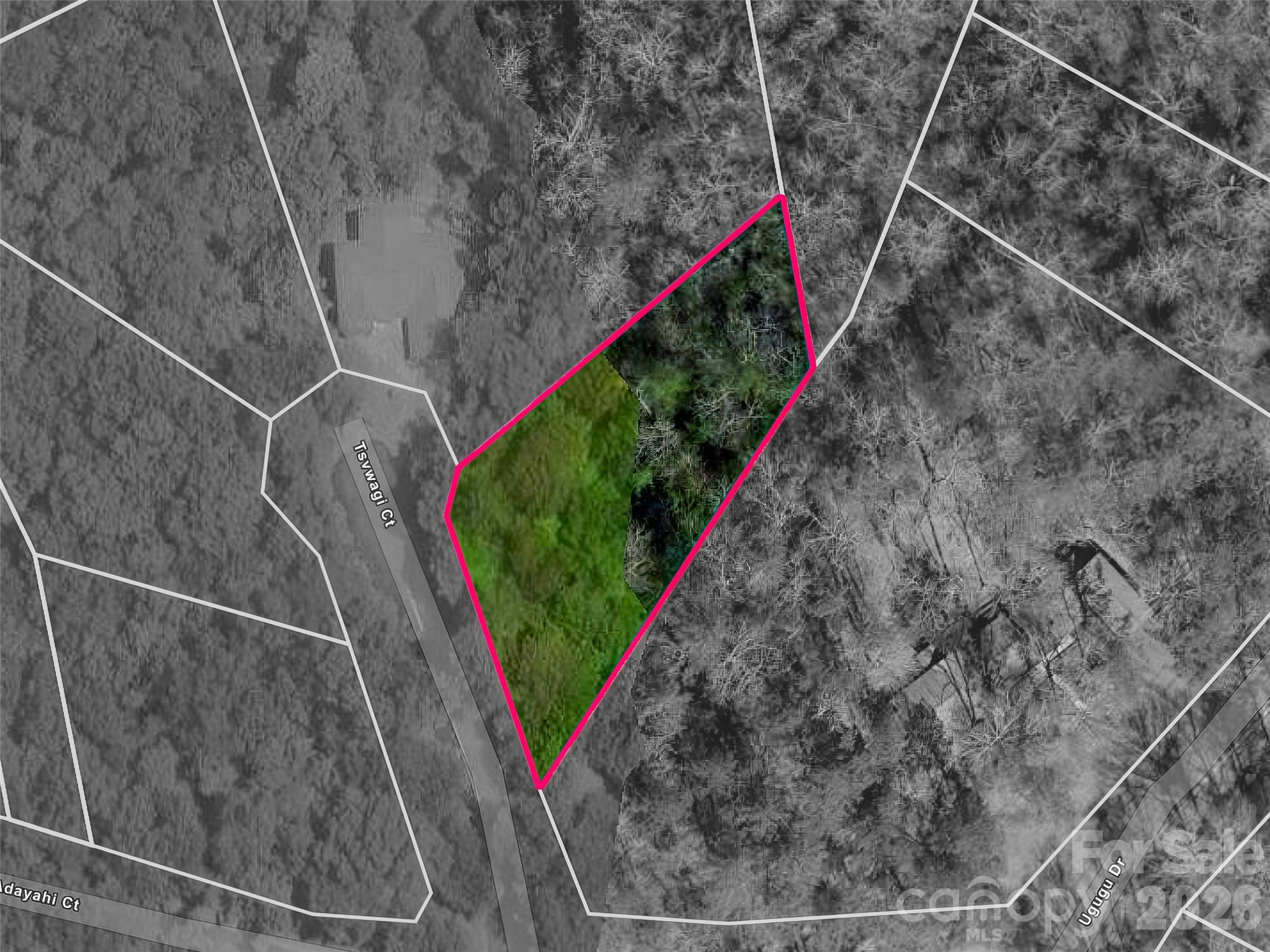 Lot at TBD Tsvwagi Court, Brevard, photo 2 of 15