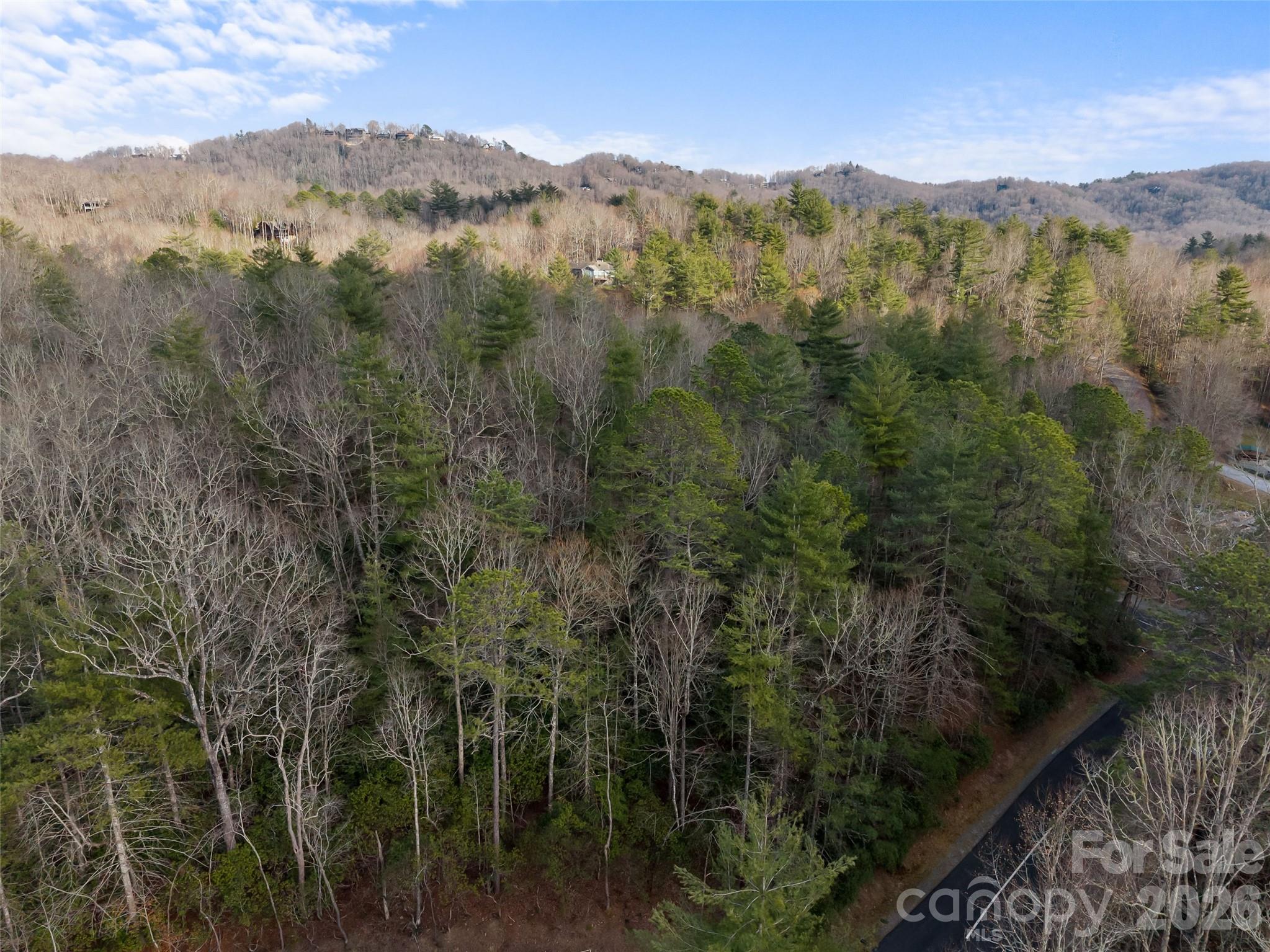 Lot at TBD Tsvwagi Court, Brevard, photo 3 of 15