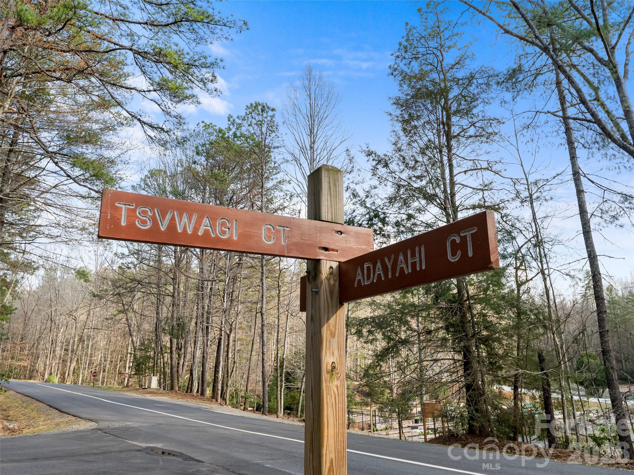Lot at TBD Tsvwagi Court, Brevard, photo 4 of 15