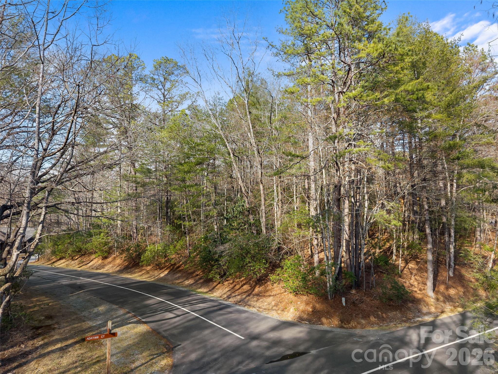 Lot at TBD Tsvwagi Court, Brevard, photo 5 of 15