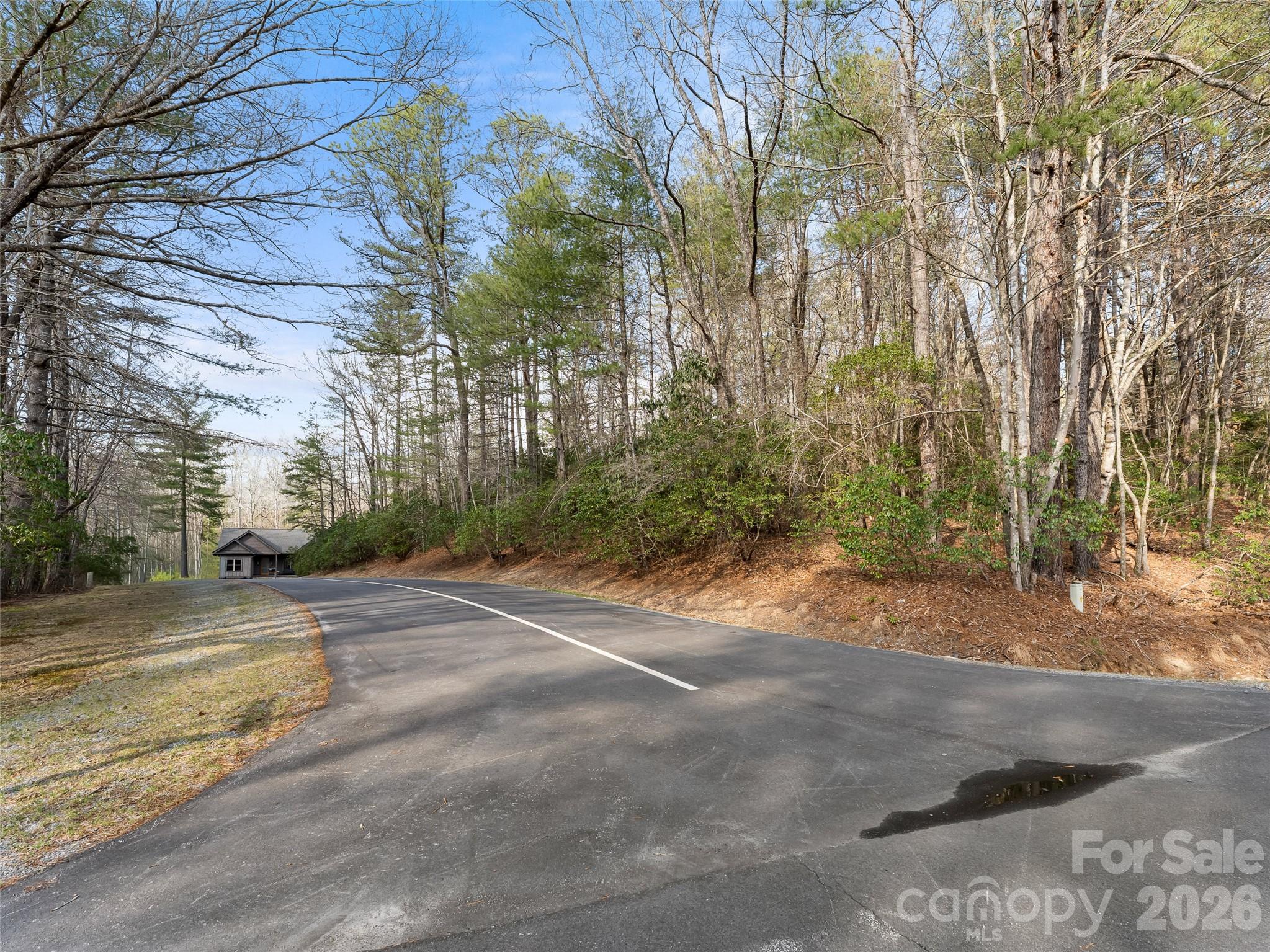 Lot at TBD Tsvwagi Court, Brevard, photo 6 of 15