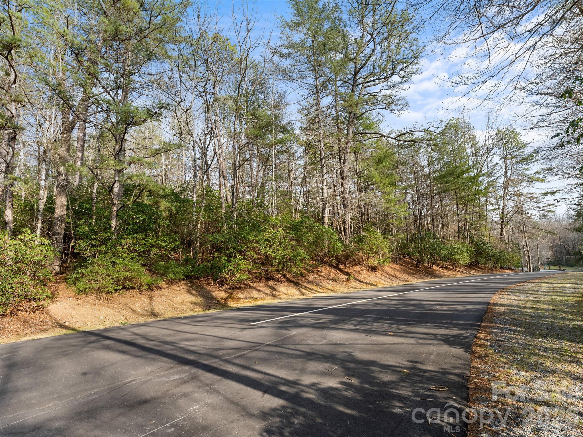 Lot at TBD Tsvwagi Court, Brevard, photo 7 of 15