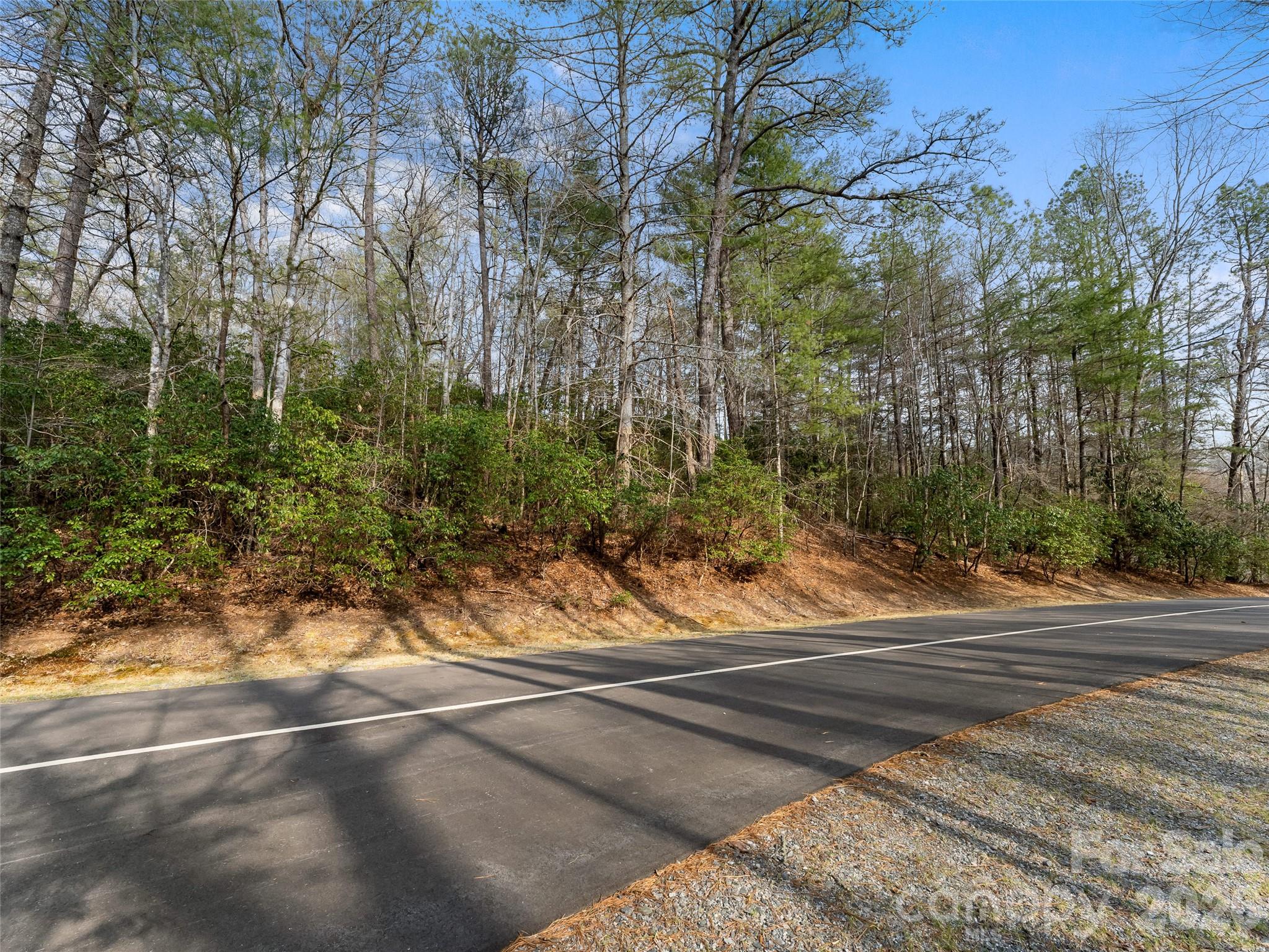 Lot at TBD Tsvwagi Court, Brevard, photo 8 of 15