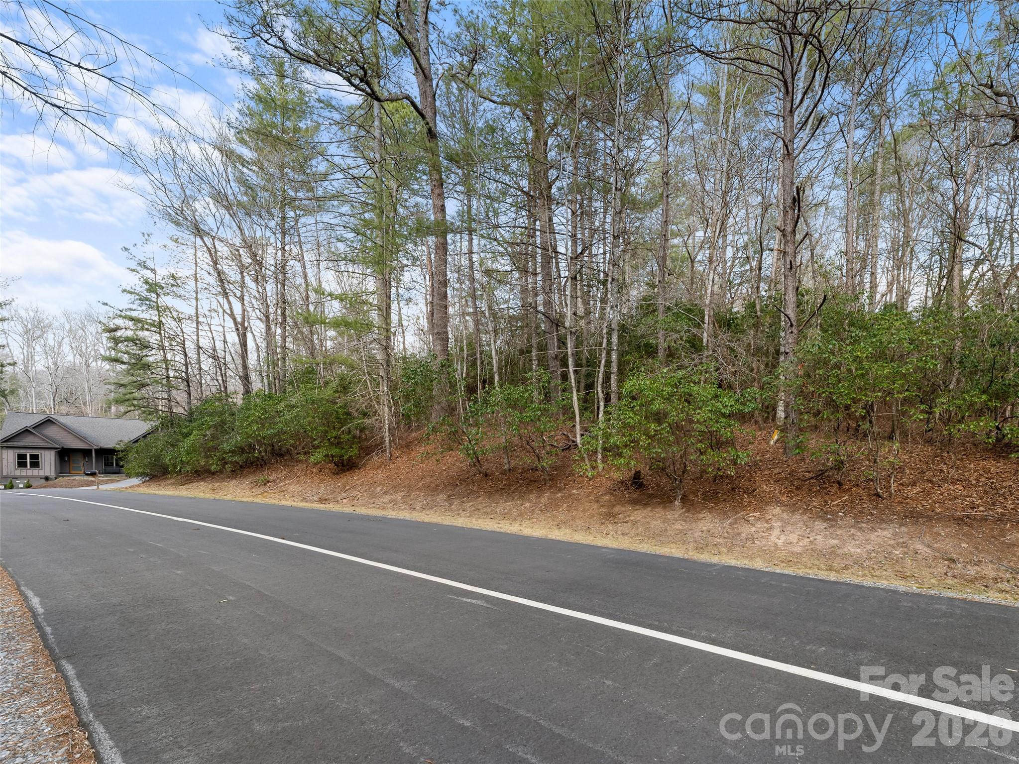 Lot at TBD Tsvwagi Court, Brevard, photo 9 of 15