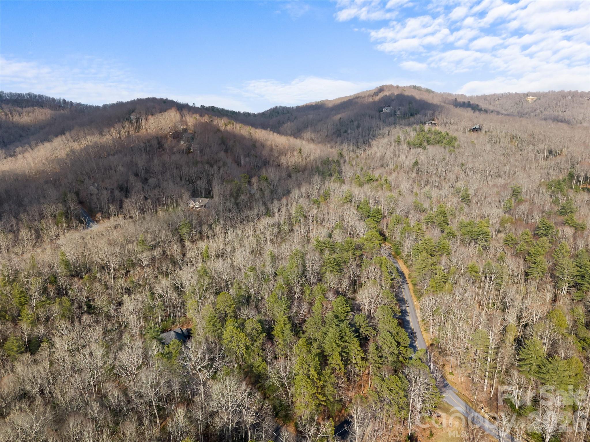Lot at TBD Tsvwagi Court, Brevard, photo 14 of 15