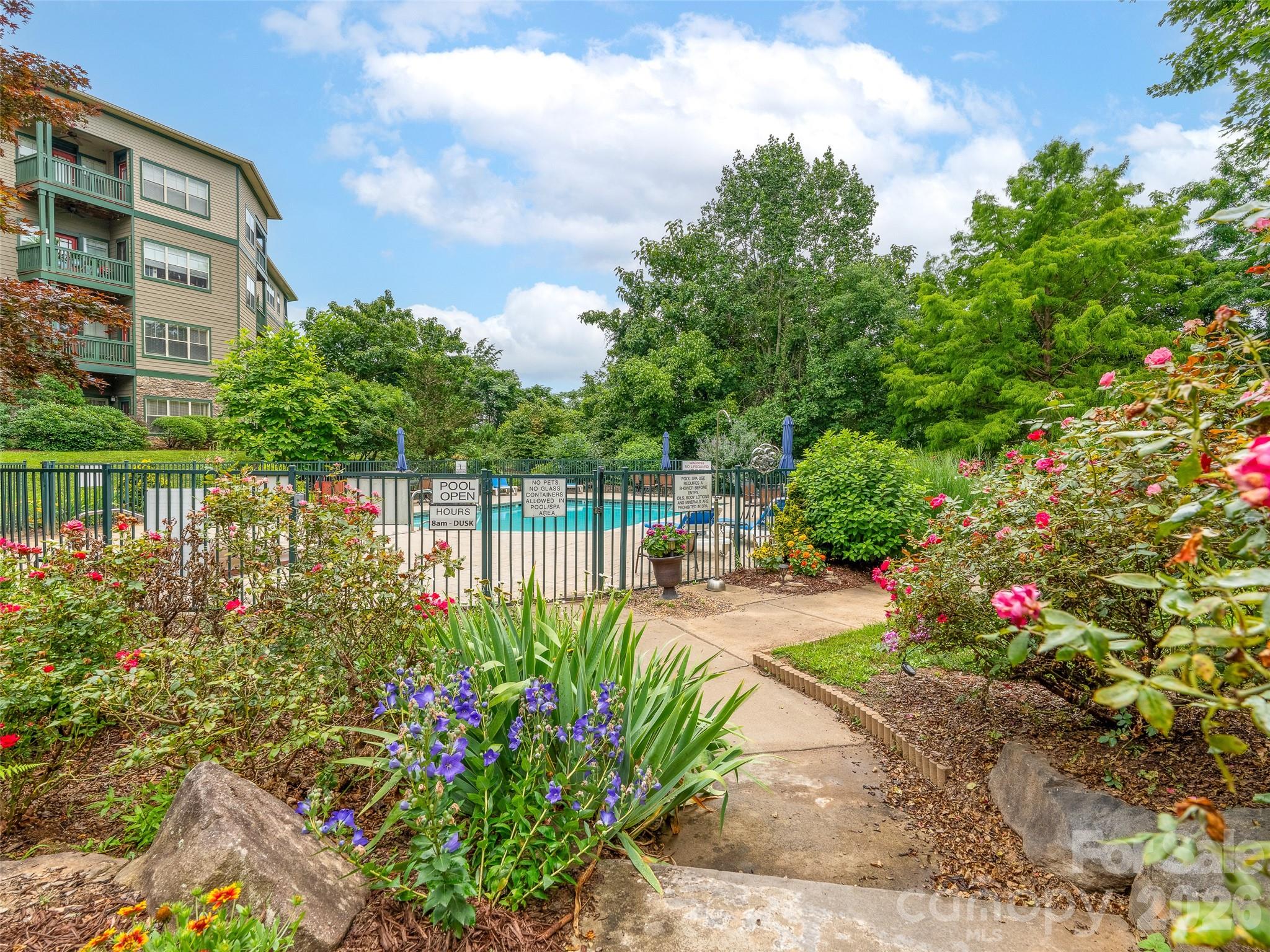 Lovely gardens surround pool - 9 Kenilworth Knoll, Asheville