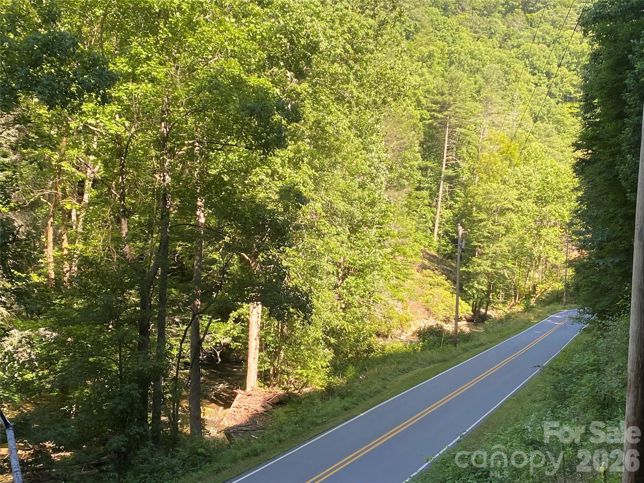 Acreage at 0000 Big Laurel Road, Marshall, photo 7 of 17