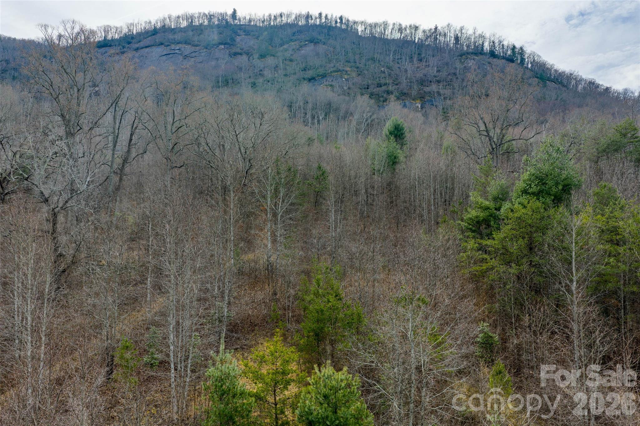 Acreage at 99999 Brush Creek Circle, Fairview, photo 10 of 11