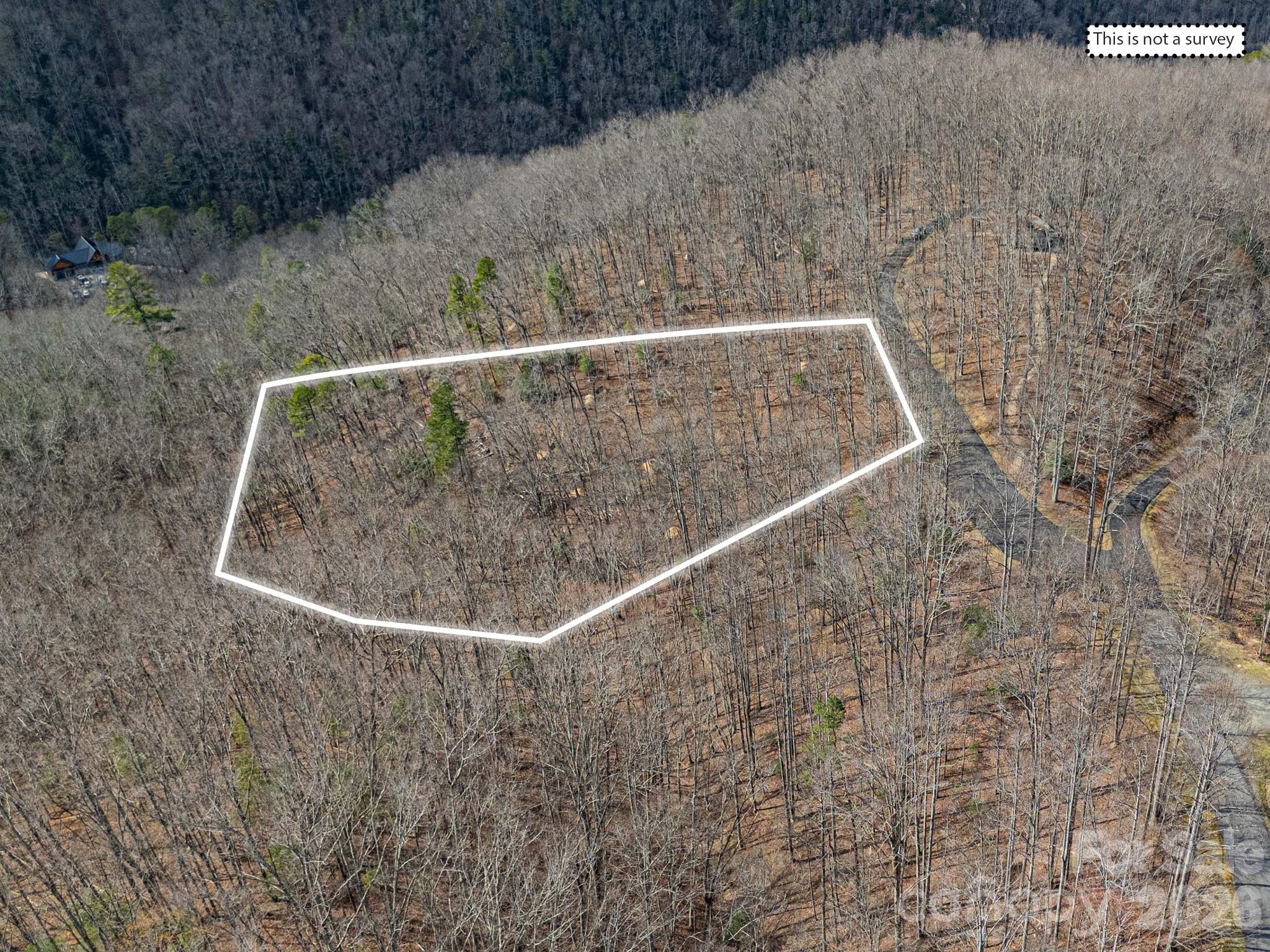 Lot at 51 Wild Turkey Loop, Marshall, photo 2 of 37