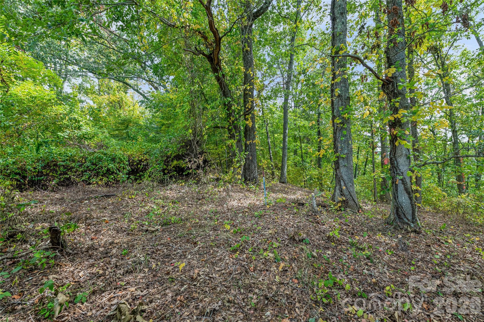 3 gorgeous acres! excellent build-site - 1380 Seven Glens Drive, Weaverville