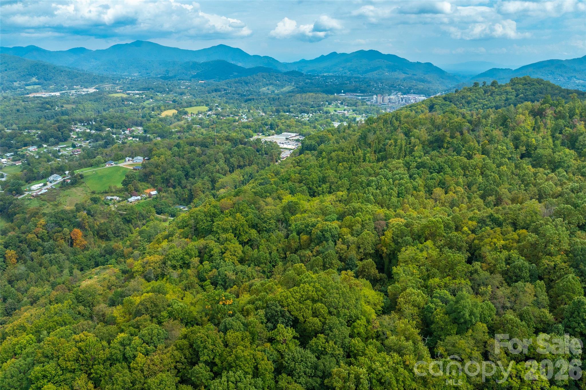 view of downtown Canton! - 99999 Carolina Boulevard, Canton