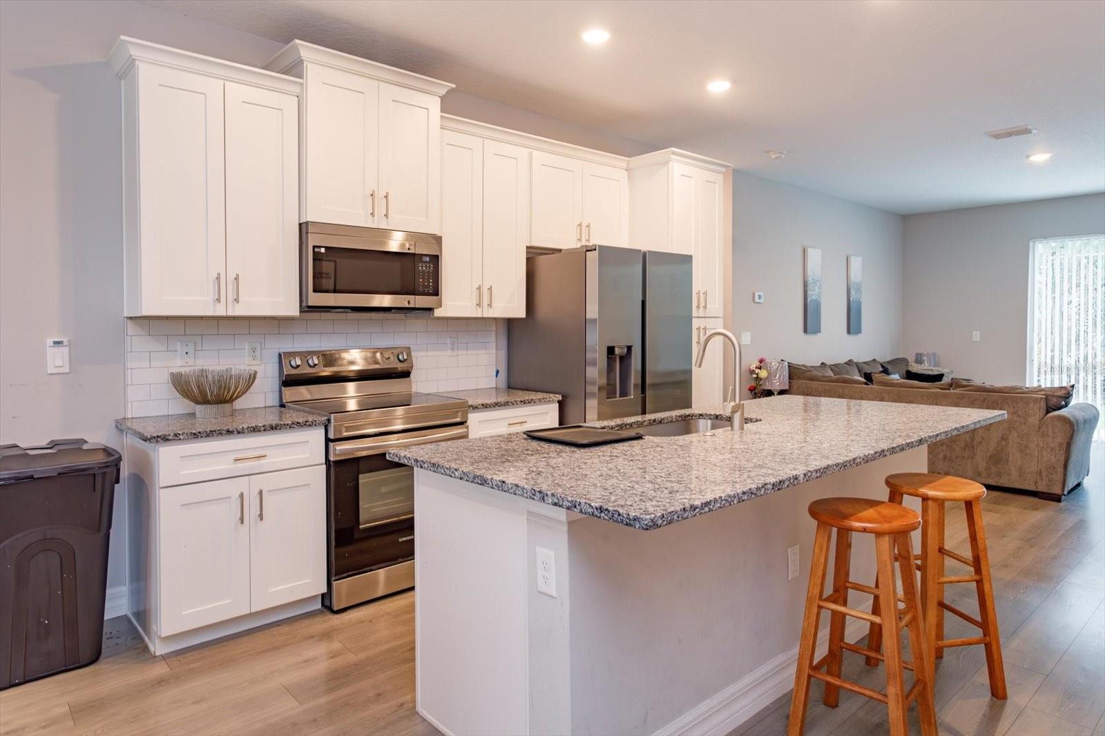 Kitchen details - 884 KLONDIKE ST, WINTER GARDEN