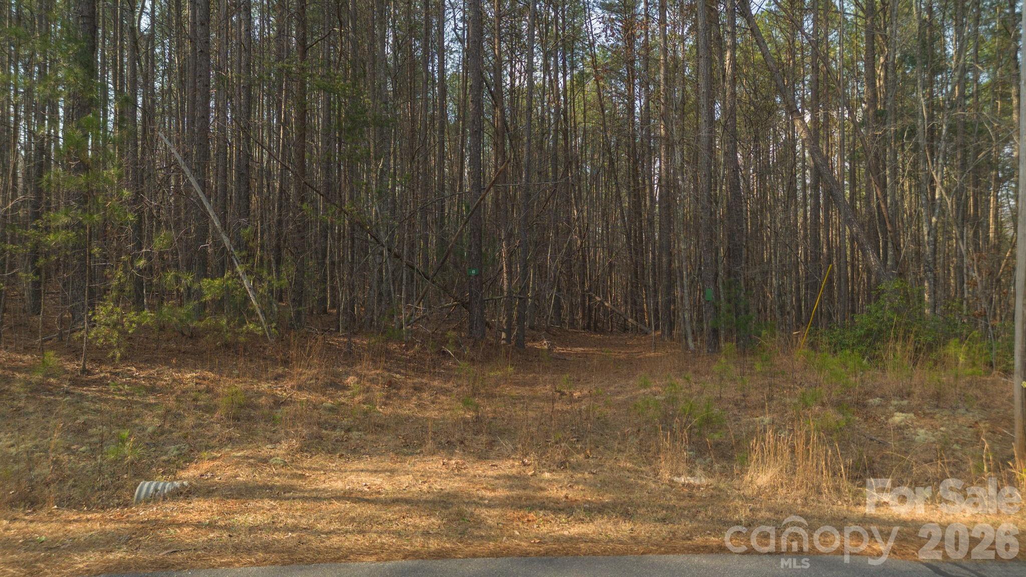 Lot at 4196 South View Boulevard, Morganton, photo 9 of 11