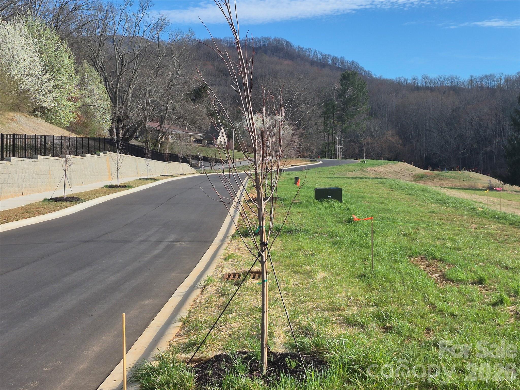 Street View - 30 Farmer Branch Lane, Waynesville