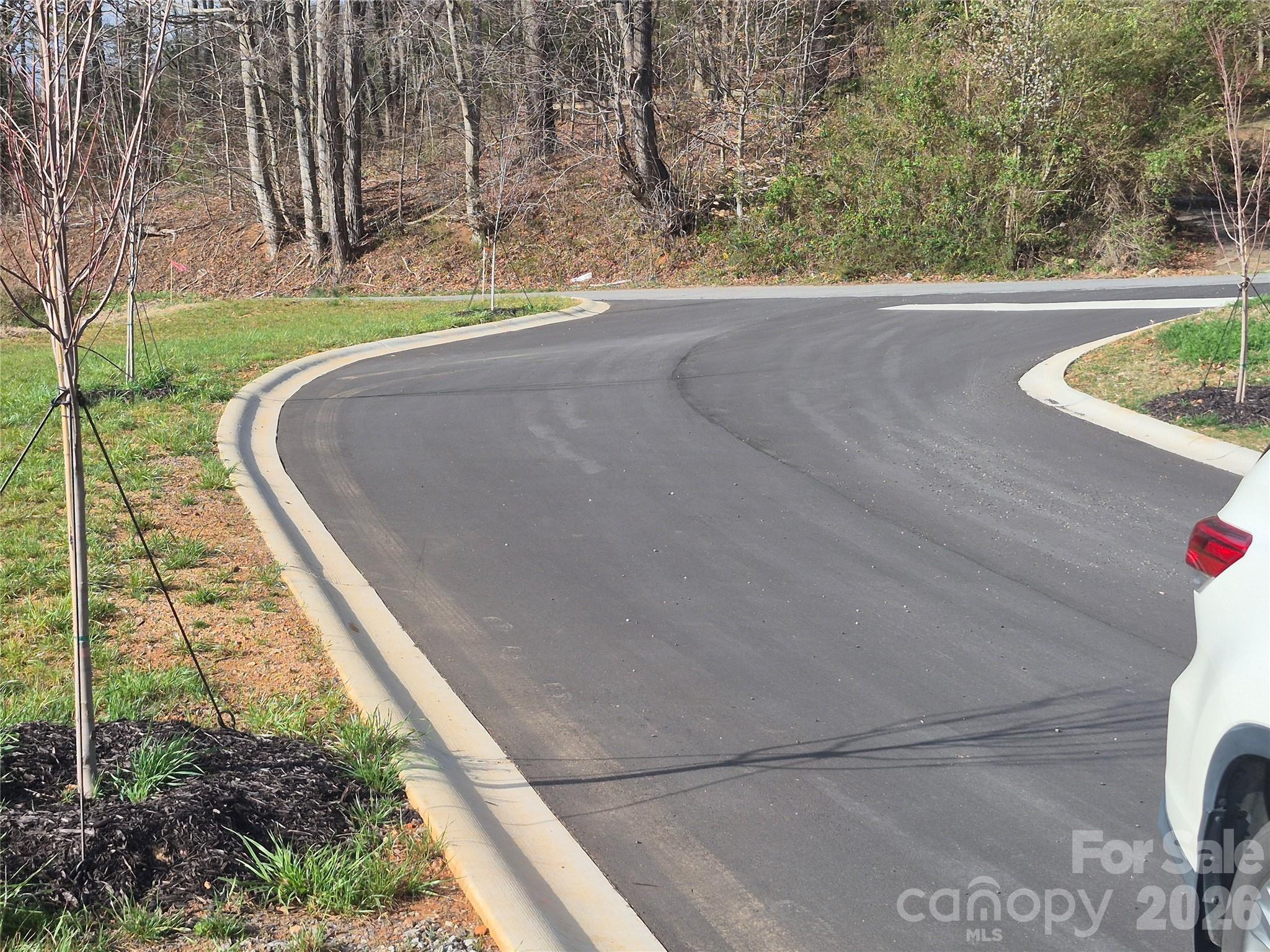 Street View 2 - 30 Farmer Branch Lane, Waynesville