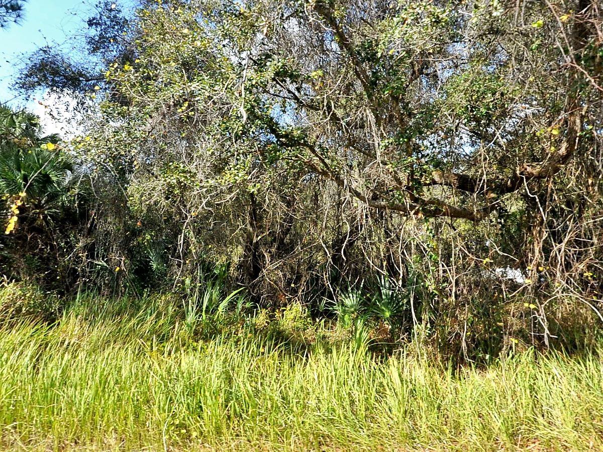 KACHER RD