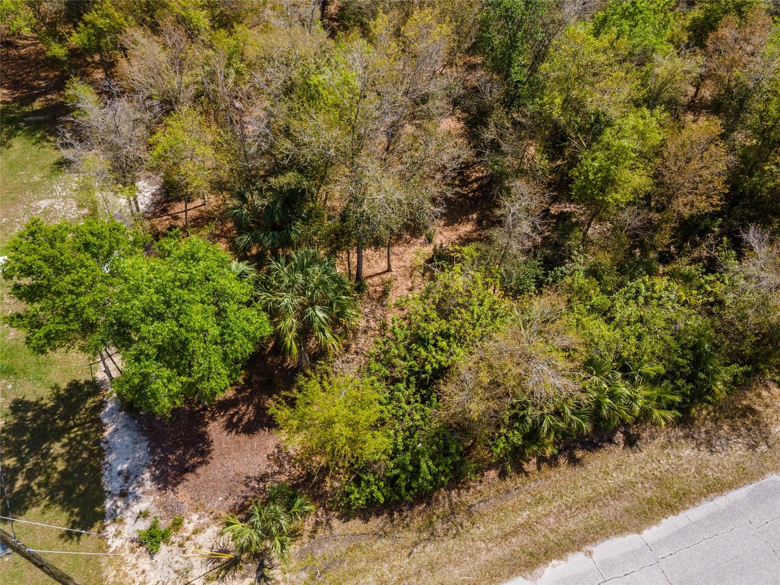 Land at 7084 LIPPMAN RD, PORT CHARLOTTE, photo 15 of 17