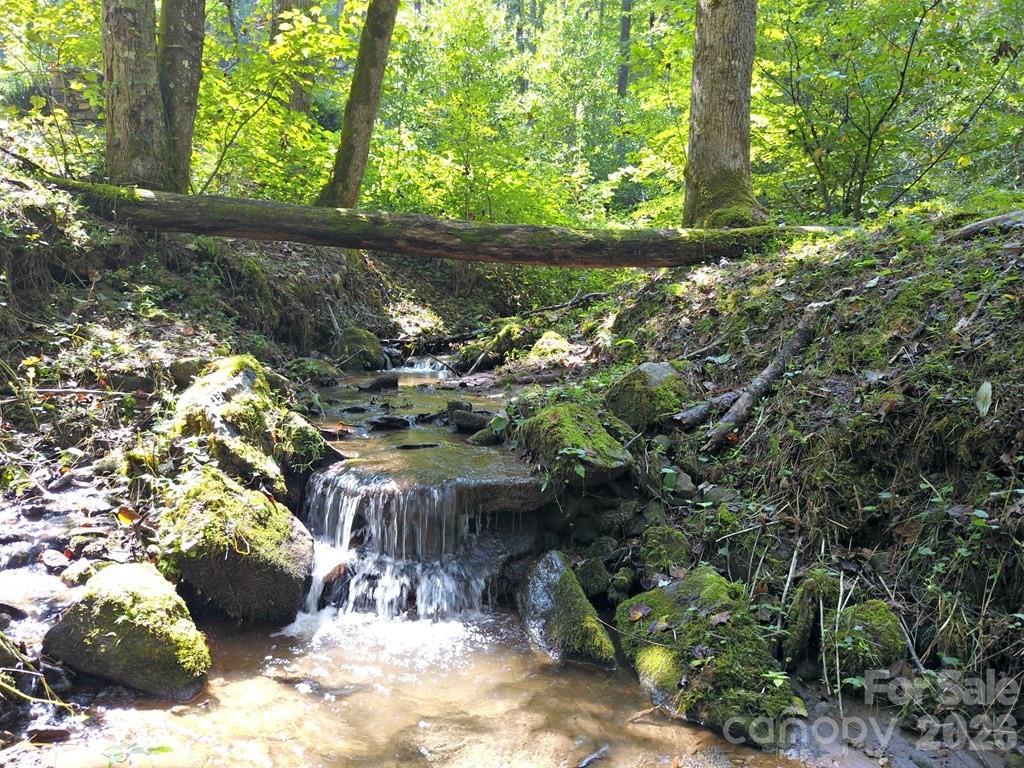 Lot at 0 Mountain Forest Estates Road, Sylva, photo 3 of 26