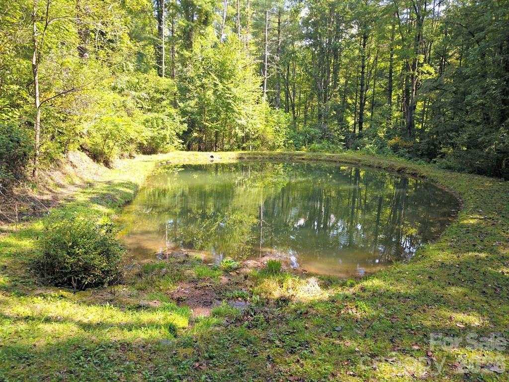 private pond - 0 Mountain Forest Estates Road, Sylva