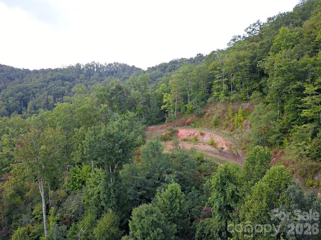 Lot at 0 Mountain Forest Estates Road, Sylva, photo 9 of 26
