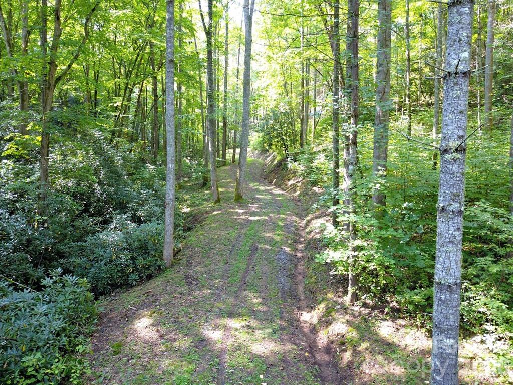 Lot at 0 Mountain Forest Estates Road, Sylva, photo 15 of 26