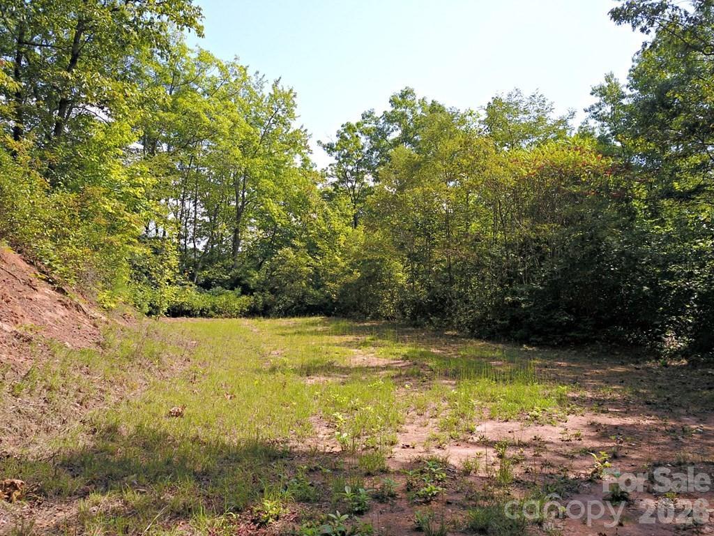 Lot at 0 Mountain Forest Estates Road, Sylva, photo 17 of 26