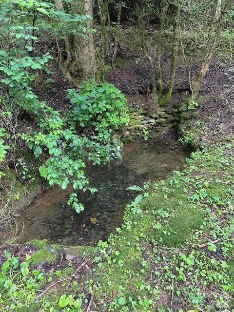 Lot at 0 Mountain Forest Estates Road, Sylva, photo 18 of 26