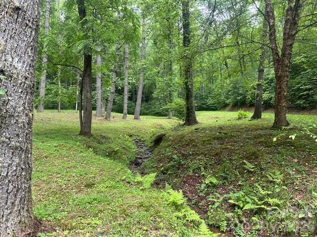 Lot at 0 Mountain Forest Estates Road, Sylva, photo 19 of 26
