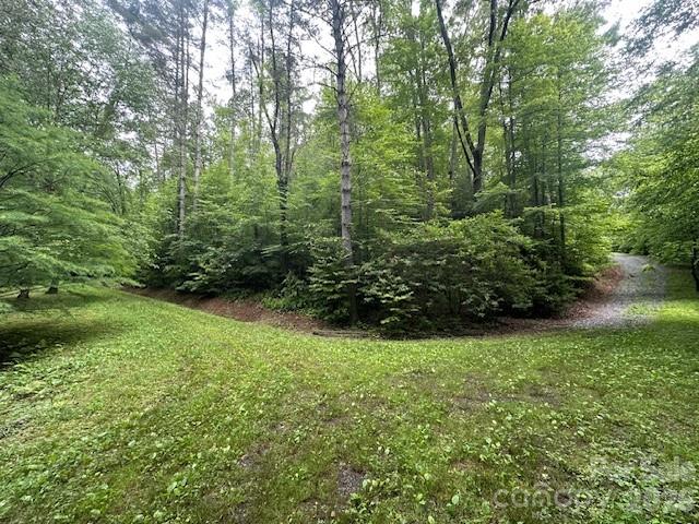 Lot at 0 Mountain Forest Estates Road, Sylva, photo 20 of 26
