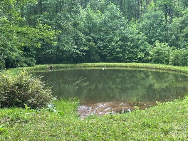 Lot at 0 Mountain Forest Estates Road, Sylva, photo 6 of 26