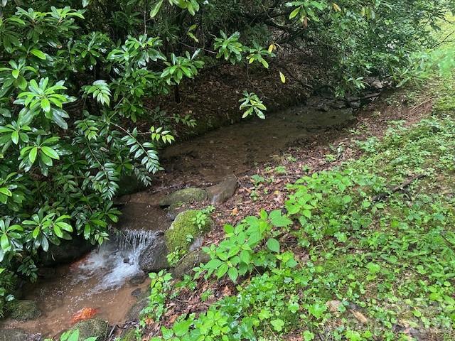 Lot at 0 Mountain Forest Estates Road, Sylva, photo 23 of 26