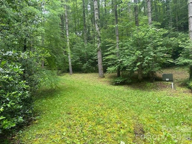Lot at 0 Mountain Forest Estates Road, Sylva, photo 24 of 26